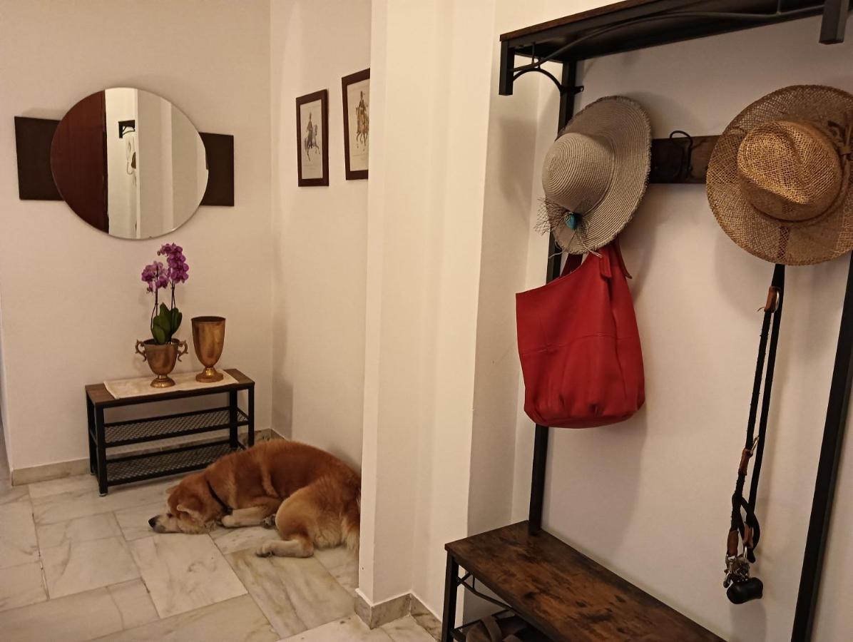 Laura Domus Διαμέρισμα Portici Εξωτερικό φωτογραφία
